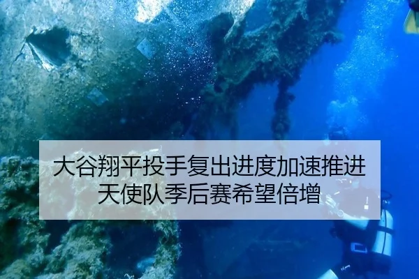 大谷翔平投手复出进度加速推进 天使队季后赛希望倍增