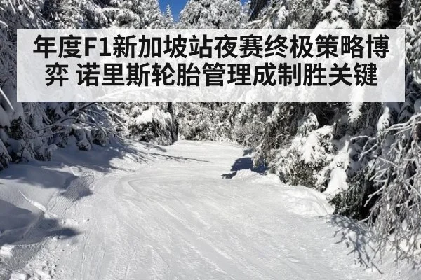年度F1新加坡站夜赛终极策略博弈 诺里斯轮胎管理成制胜关键